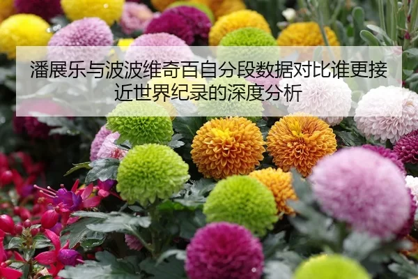潘展乐与波波维奇百自分段数据对比谁更接近世界纪录的深度分析