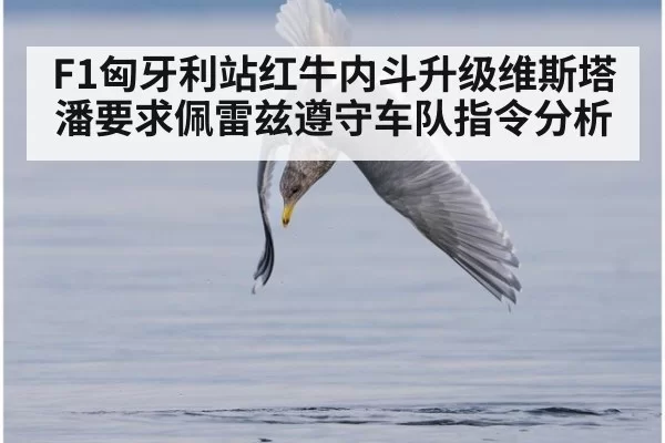 F1匈牙利站红牛内斗升级维斯塔潘要求佩雷兹遵守车队指令分析