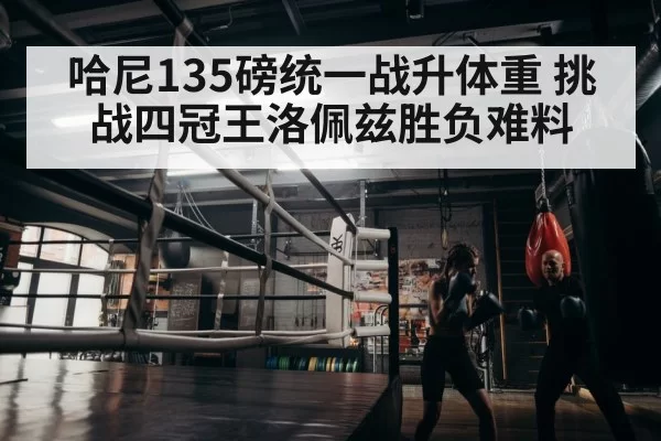 boxer training
